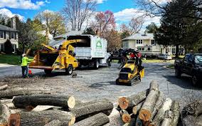 Artificial Turf Installation in Ansonia, CT